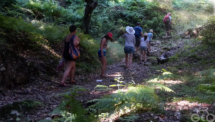 Nature and Forest (hiking)