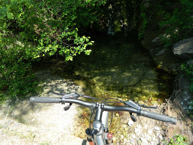 Nature and Forest (biking)